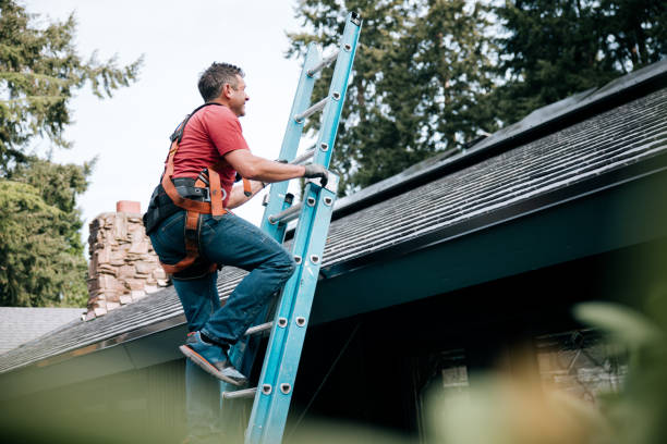 Best Gutter Installation and Repair  in Lumbine, CO